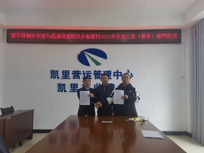 貴州高速集團交通物流集團牽線搭橋，板寨村300畝紫米簽訂單助力鄉(xiāng)村振興